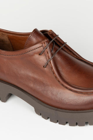 Lotti brown shoe